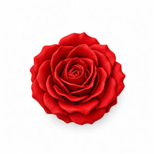 Rose Silikon Kalıbı